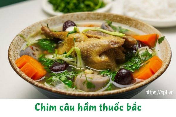 Chim câu hầm thuốc bắc