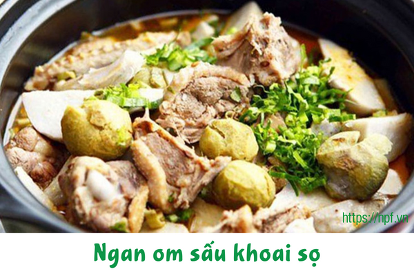 Ngan om sấu khoai sọ