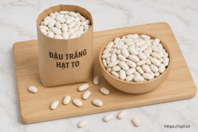 Đậu trắng hạt to