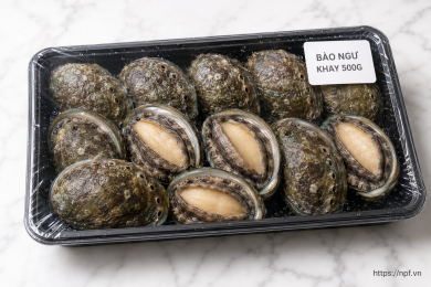 Bào Ngư Khay 500g