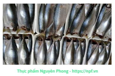 Cá nục hoa (1Kg) Sầm Sơn