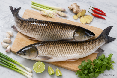Cá trắm bỏ đầu (Size 3-4kg/con)