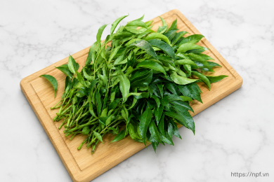 Lá mắc mật