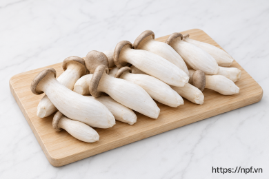Nấm đùi gà