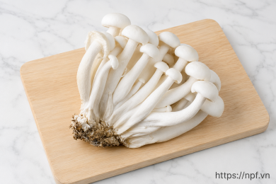Nấm Hải sản (200g)