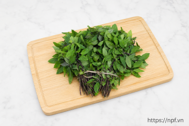 Rau húng láng