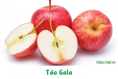 Táo Gala 80